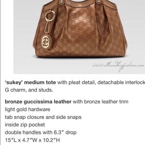 Additional photos of Bronze Gucci Bag